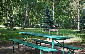 Мангальная зона / барбекю на территории лечебно-оздоровитель