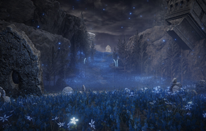 МСК зал тестовый