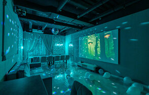 Tiffany. Изысканный лофт с мебелью, светомузыкой и караоке