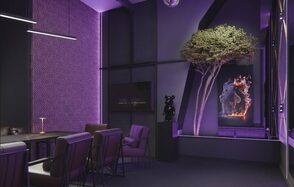 Лофт с атмосферой таинственности и стиля с верандой на крыше