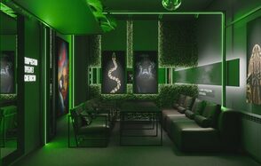 Лофт с элементами тропической природы с верандой на крыше