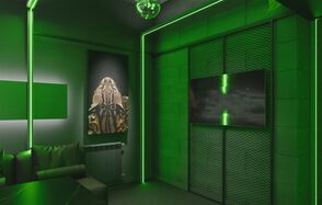 Лофт с элементами тропической природы с верандой на крыше