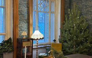 Уютная фотостудия с большими окнами