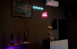 Комфортный лофт с проектором