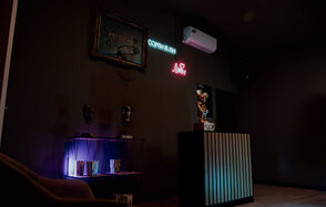 Комфортный лофт с проектором