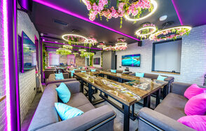 Мятный Енот