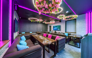 Мятный Енот