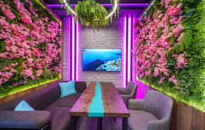 Мятный Енот