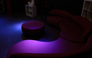 Лофт в стилистике видео-салона