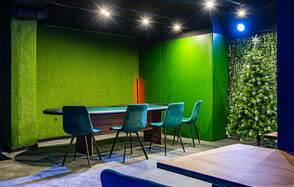 Просторный лофт с зеленью