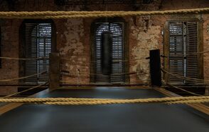 Polygon. Зал Ринг