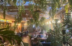 Blush Lounge. Банкетный зал с зеленью