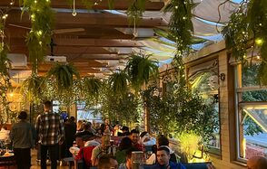 Blush Lounge. Банкетный зал с зеленью