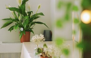 Encanto Studio. Светлая студия с балконом