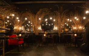 Лофт Тайник с караоке