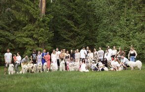 Белый Пёс(WHITE DOG event). Открытое пространство на фоне леса; множество людей и собак стоят на зелёной траве; высокие деревья с густой листвой; группа одета в летнюю одежду разнообразных оттенков.