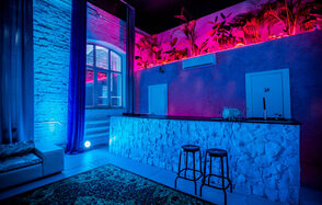 Loft with a bar and a separate entrance