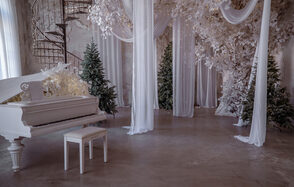 Интерьерный зал