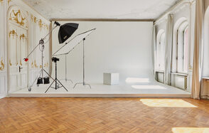 Большой светлый зал в классическом стиле с камином